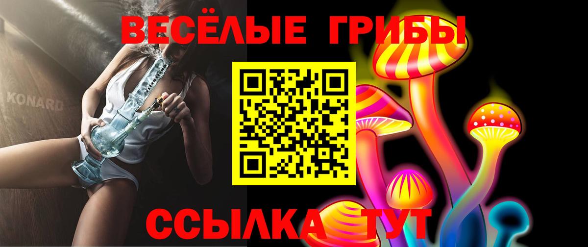 Киселёвск  купить   Вход с VPN  Псилоцибиновые грибы мухоморы  Псилоцибиновые грибы MAGIC MUSHROOMS 